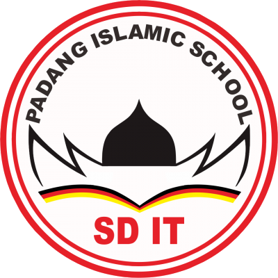 Logo YPSM